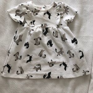 Zara 3/6 months dress. New.